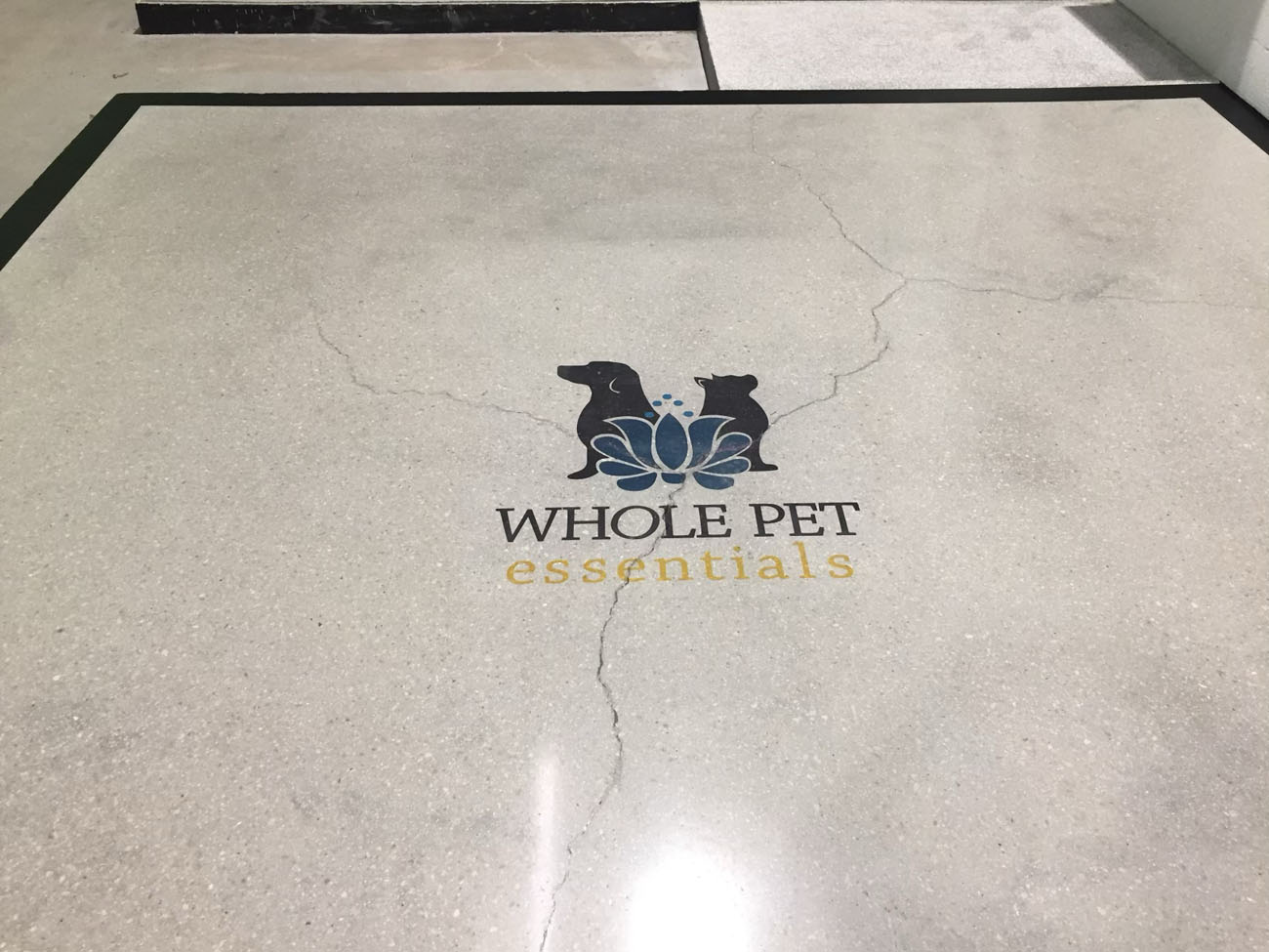 Polished concrete floor