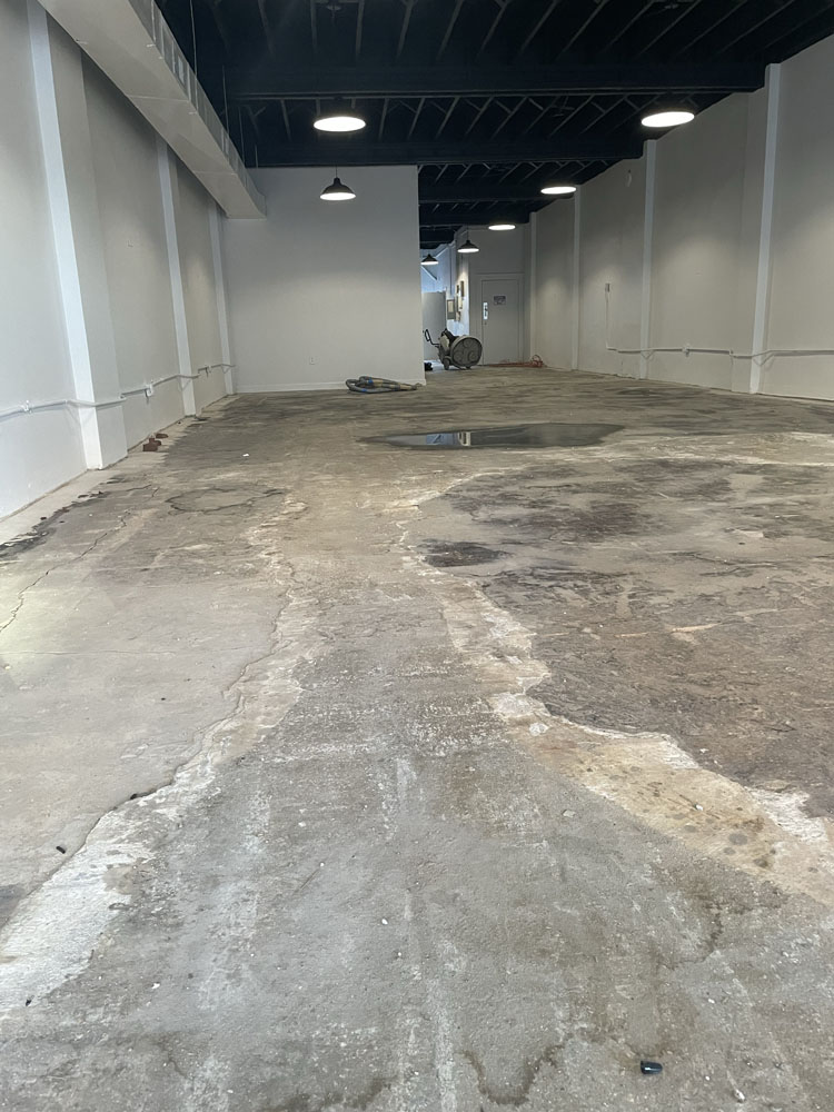 Concrete polishing results