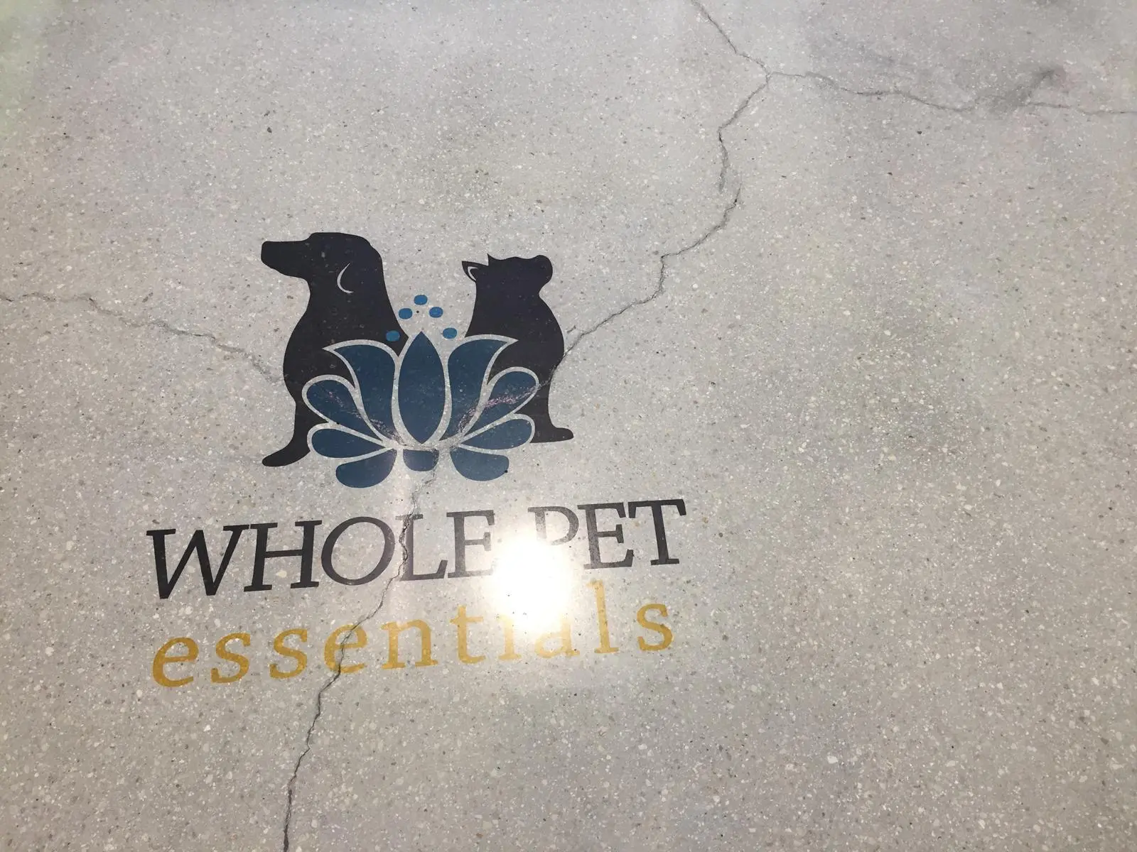 Concrete polishing results