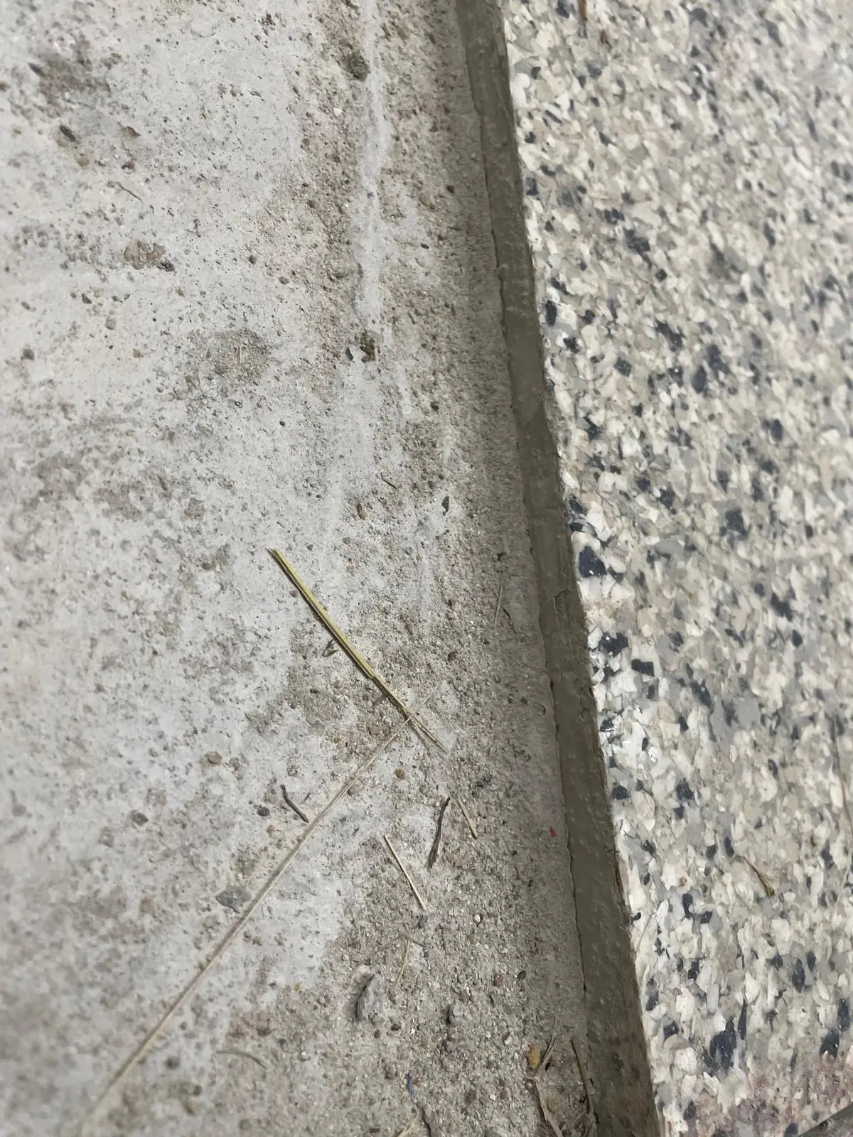 Concrete restoration process